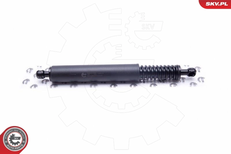 Gas Spring, boot/cargo area